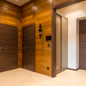 Panel Door